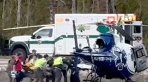 Brüder erleiden nach Bärenangriff im Yellowstone schwere Verletzungen