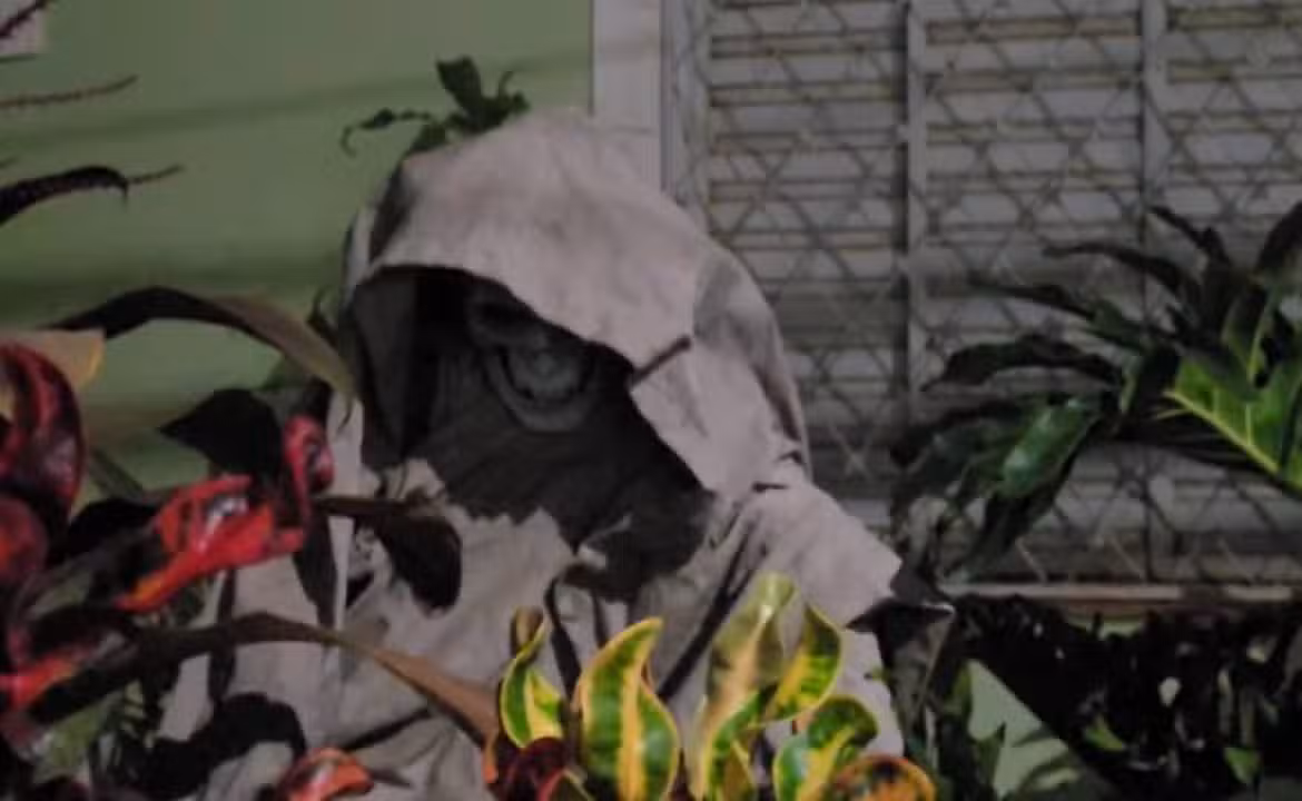 estátua da morte em São Carlos