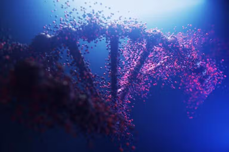 Estudo indica que limite da vida humana é definido por mecanismo de edição de genes