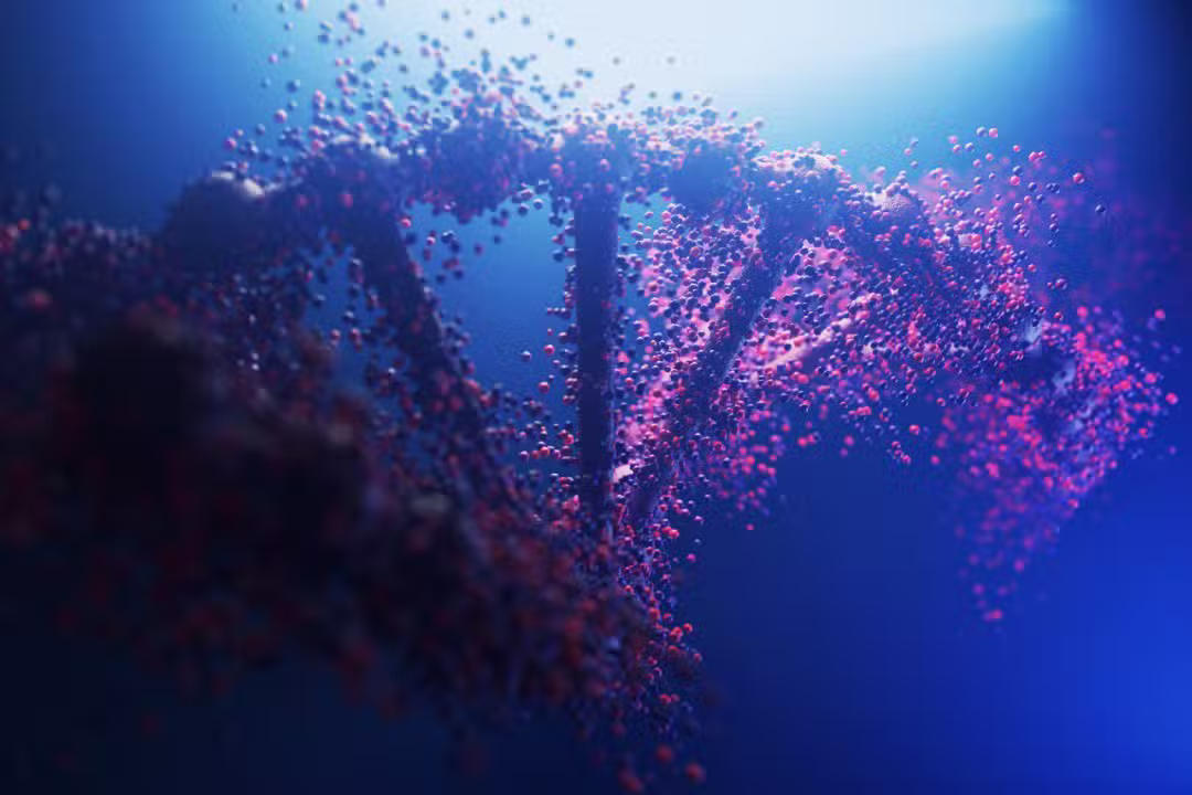 Estudo indica que limite da vida humana é definido por mecanismo de edição de genes
