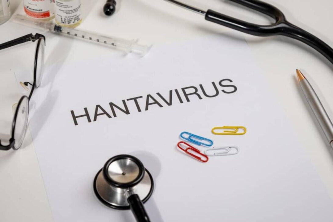 hantavirus