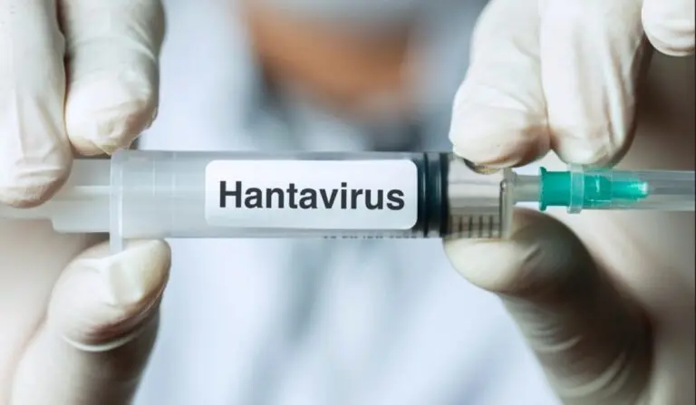 hantavirus