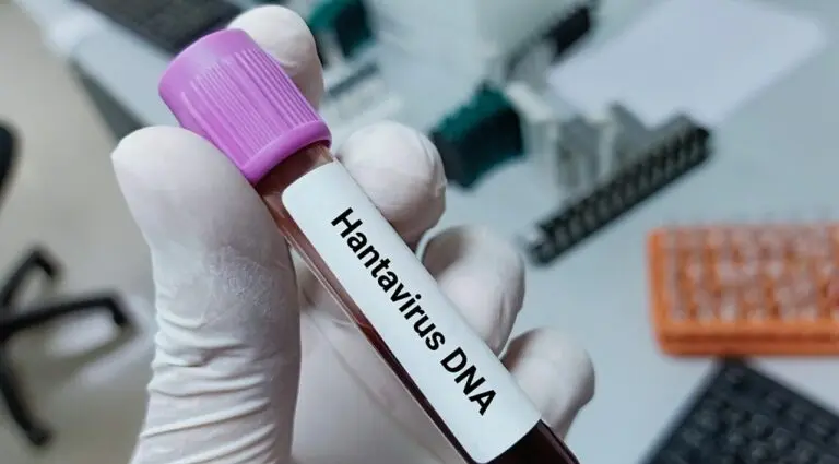 hantavírus