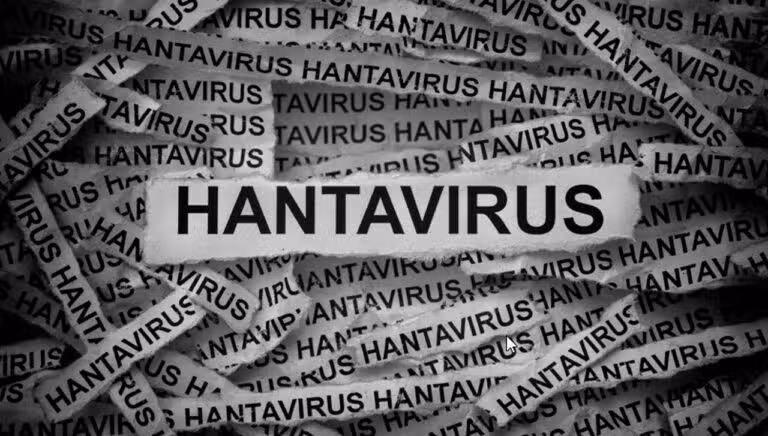 Hantavírus - StepanPopov/ Shutterstock.com