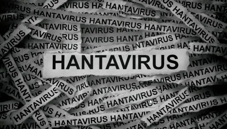 Hantavírus - StepanPopov/ Shutterstock.com