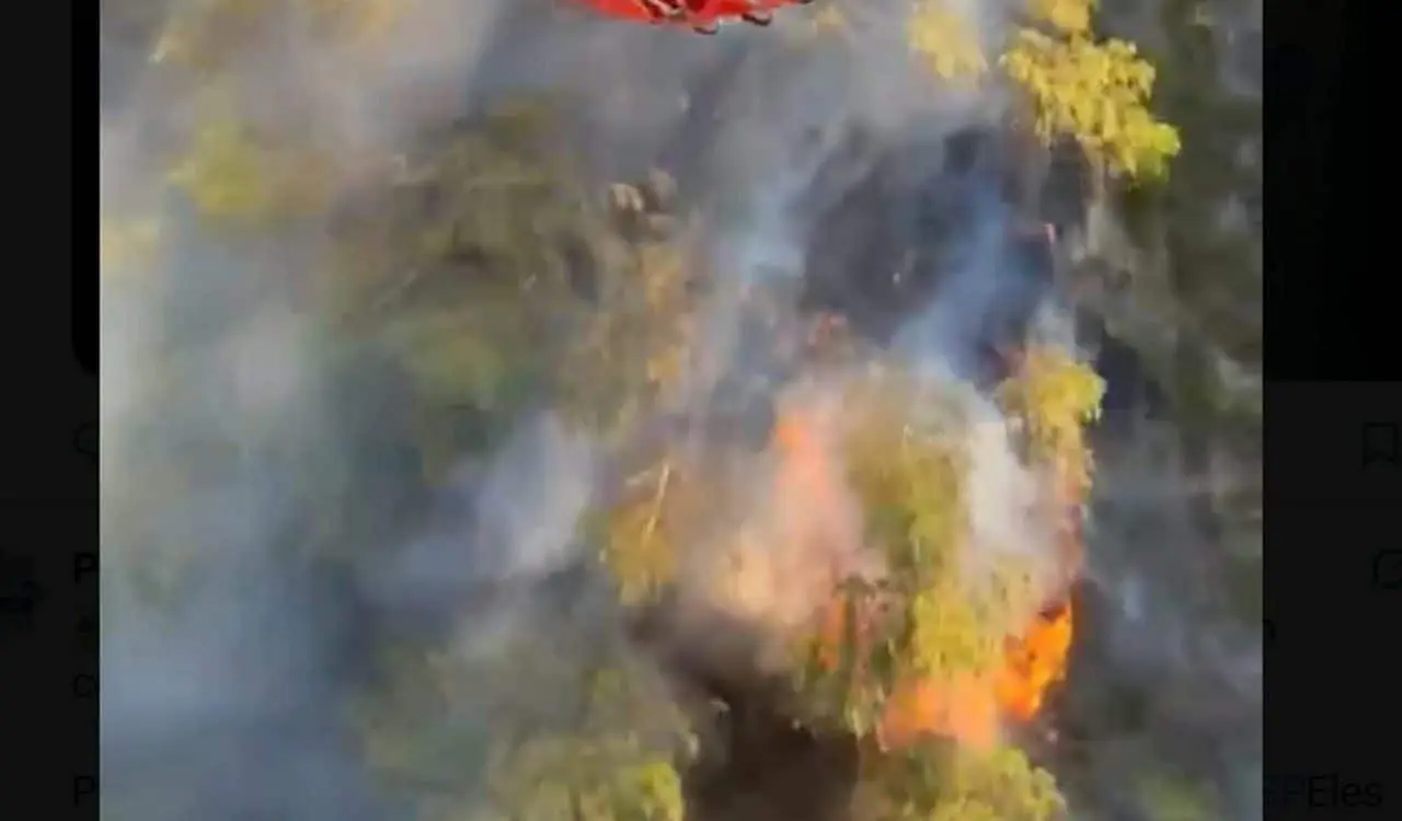 Incendio florestal Varsóvia