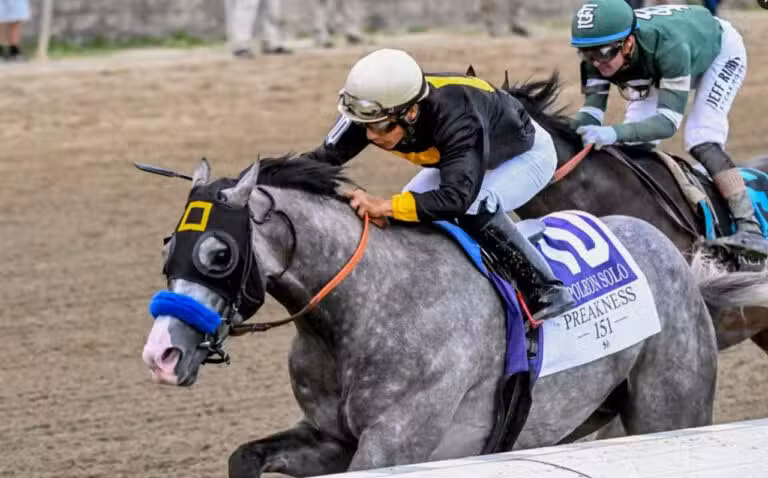 Napoleon Solo - X/@PreaknessStakes