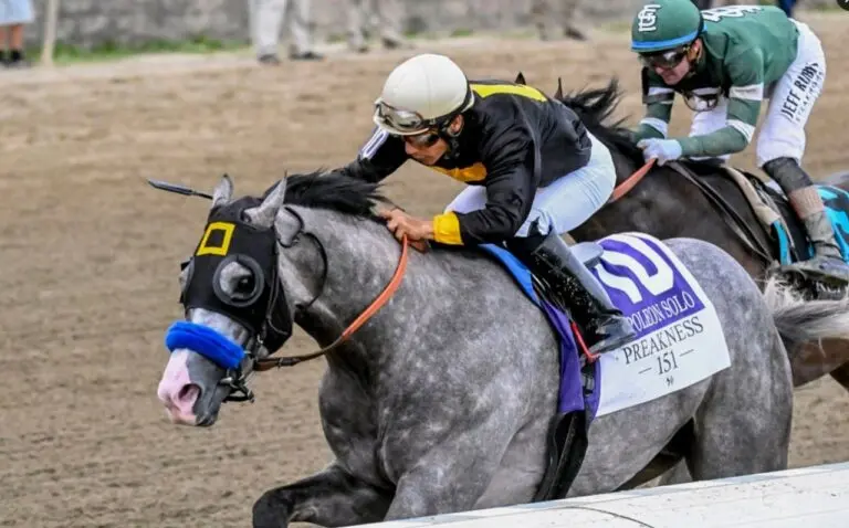 Napoleon Solo - X/@PreaknessStakes