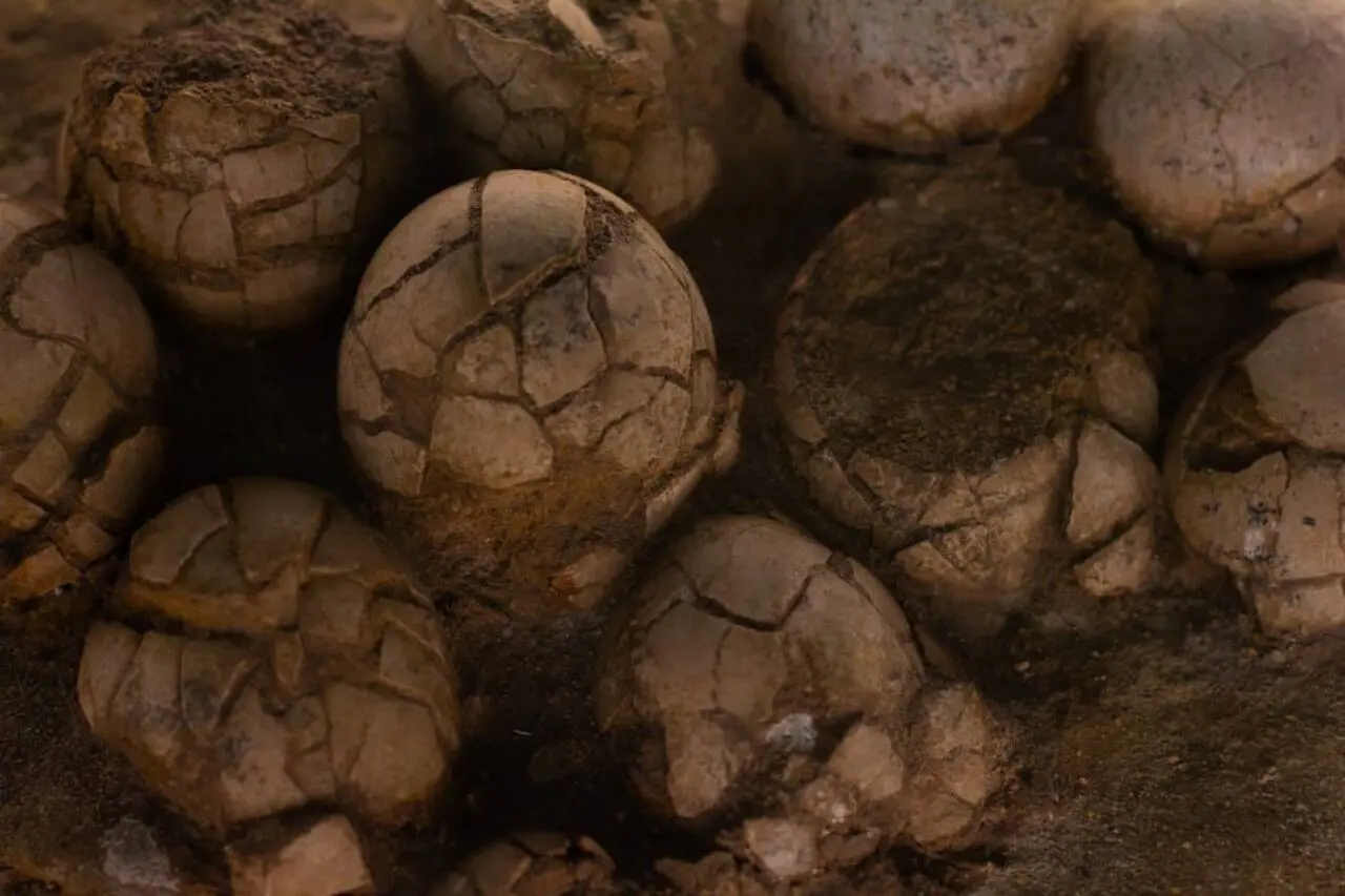 ovos de dinossauro.