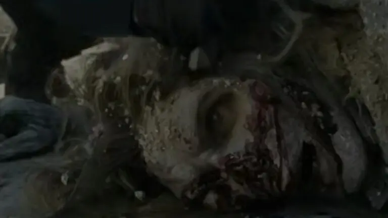 The Walking Dead