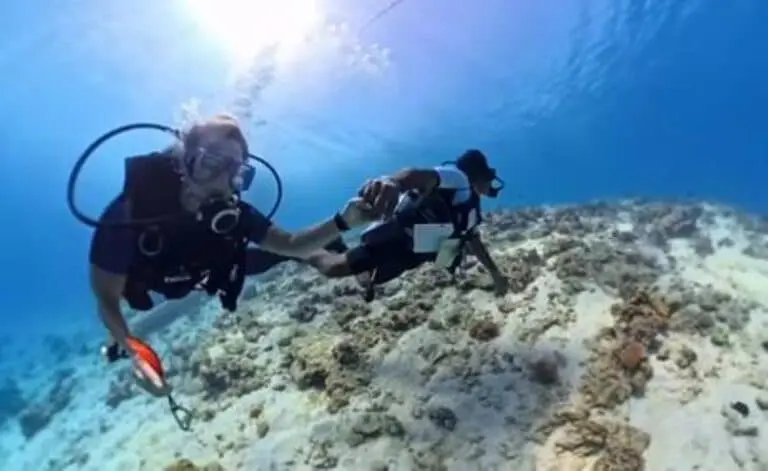 turista denuncia instrutor de mergulho