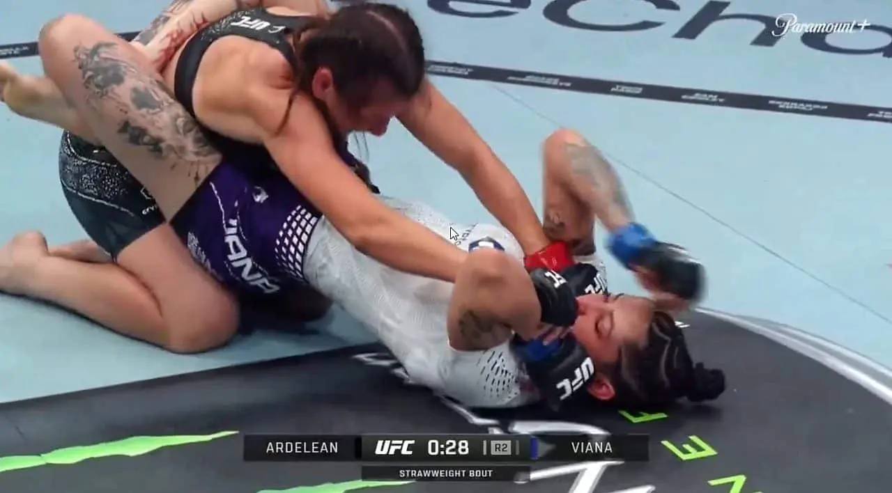 UFC Vegas 117 - Divulgação