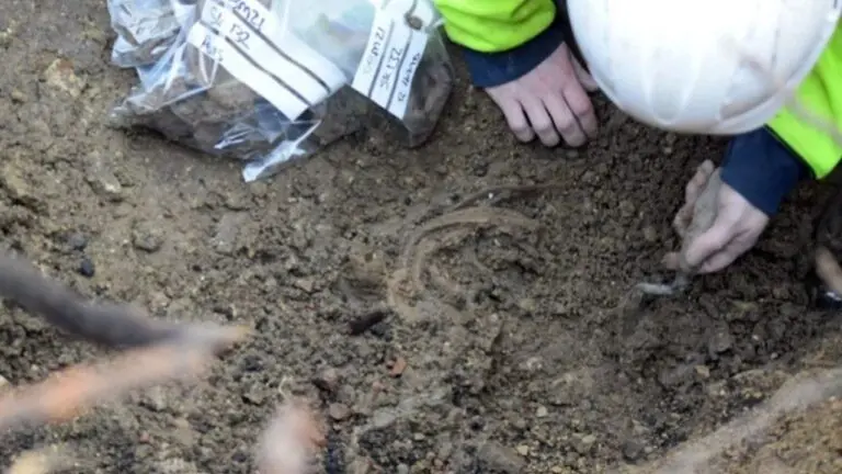 Vestígios anglo-saxões em escavação. - Reprodução/Cotswold Archaeology