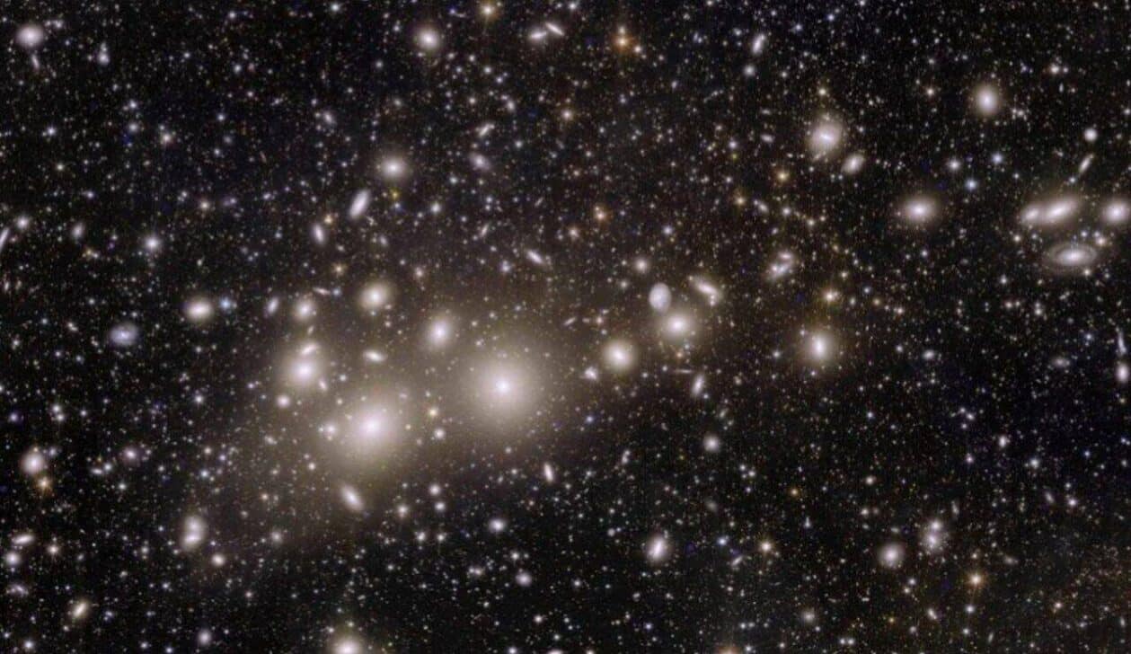 1,000 galaxies belonging to the Perseus Cluster - Euclid/NASA Space Telescope
