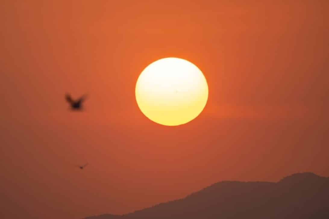 Calor, sol, verão