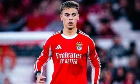 Enzo Barrenechea