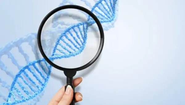 Gene, DNA, lupa