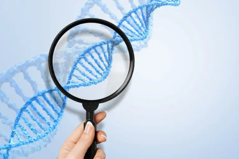 Gene, DNA, lupa