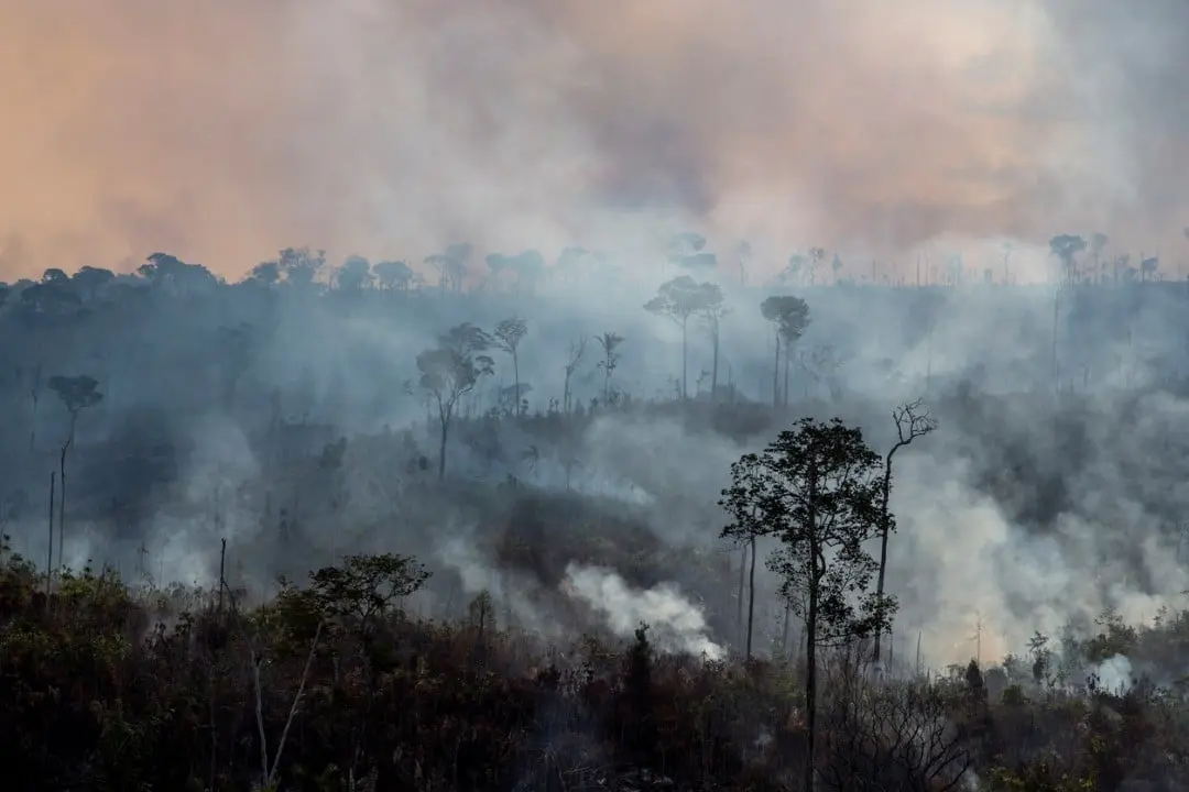 Incêndio florestal