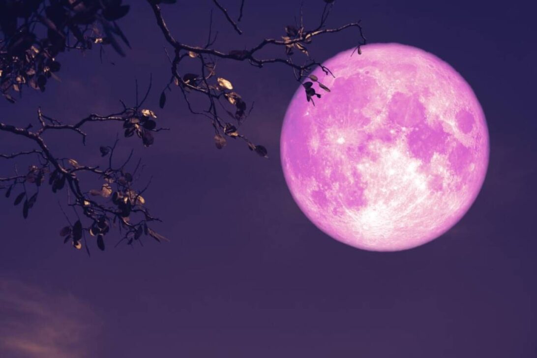 Lua Rosa