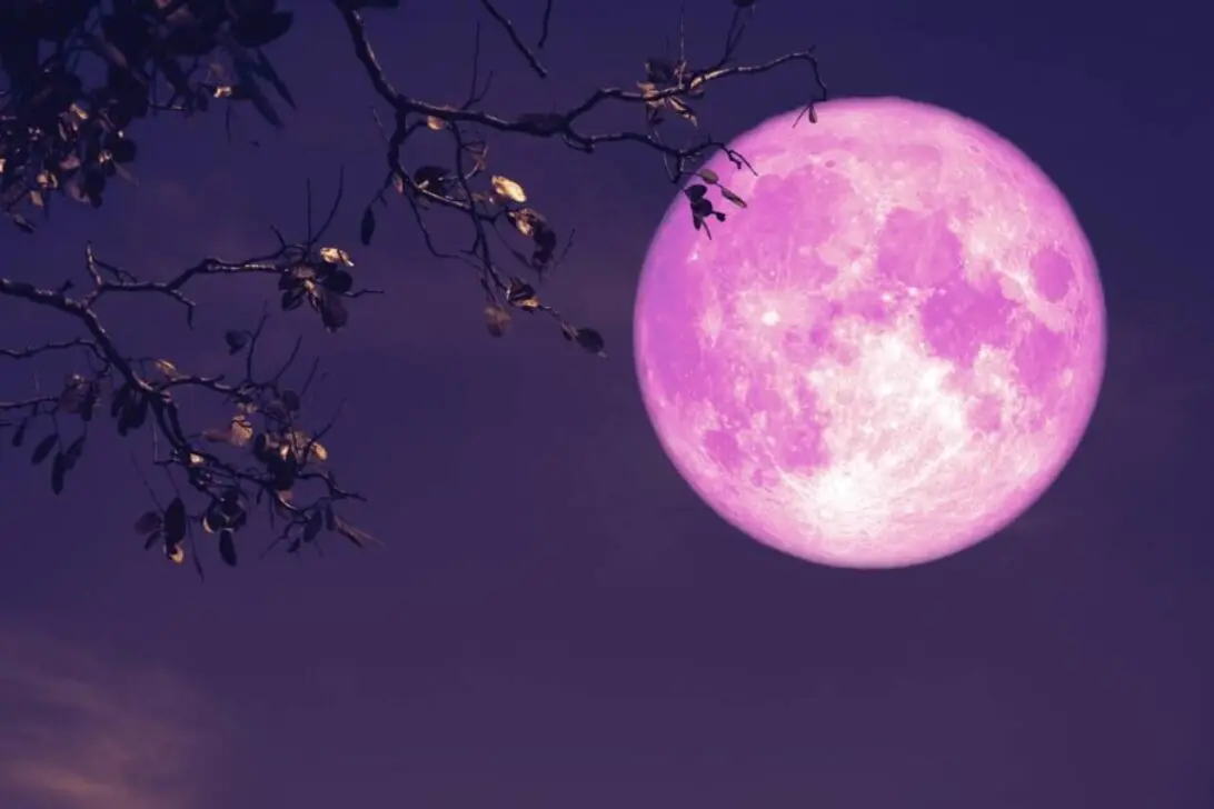 Peristiwa astronomi Jun termasuk pendekatan ke Musytari, Zuhrah dan Strawberry Moon