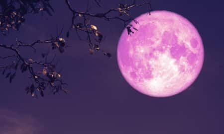 Lua Rosa