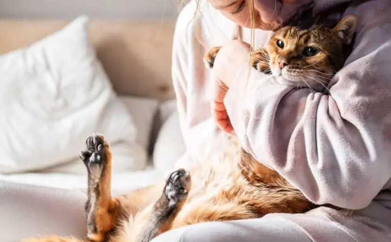 Pessoa abraçando gato
