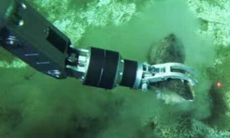 Recuperação de ossos fossilizados de baleia