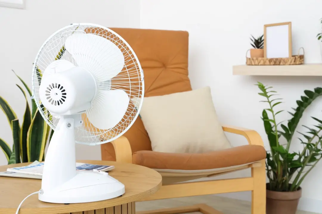 Ventilador