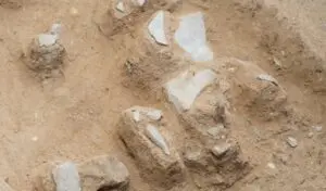 Achado arqueológico em Nara desvenda fonte rara de sanukita para ferramentas paleolíticas após desmoronamento