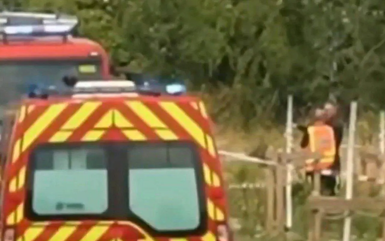 Avião cai na França e deixa 11 mortos - Internet