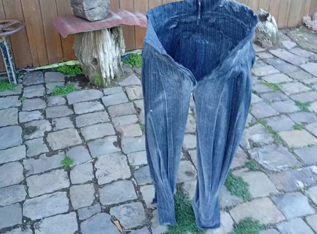 Calça congela em São Joaquim nesta quarta-feira (24) — Arquivo Pessoal