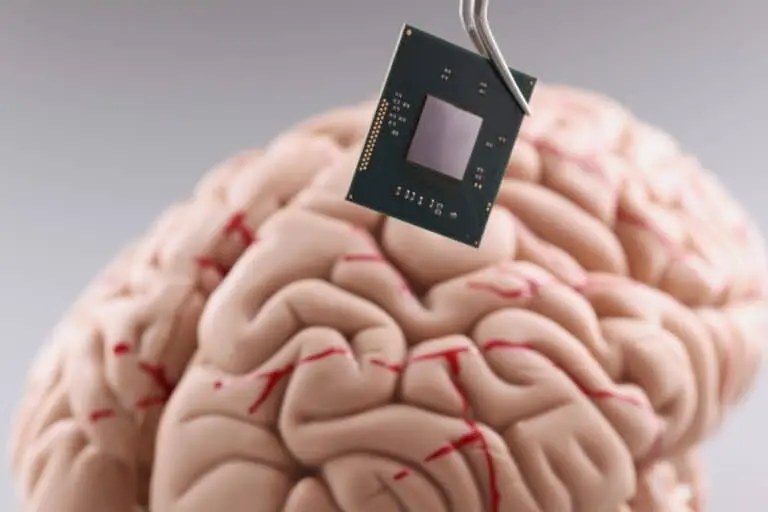 chip cerebral