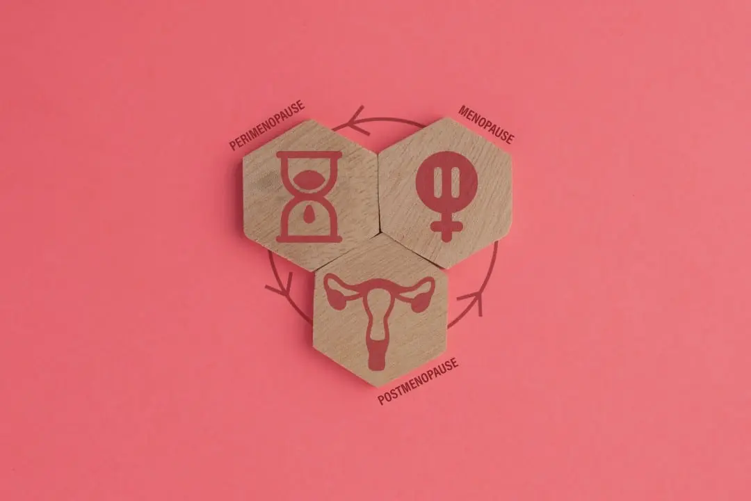 ciclo menstrual, menopausa