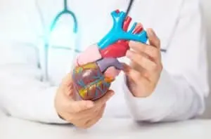 3D printed artificial heart: ambitious project provides functional organ in ten years