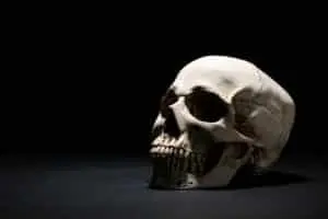 Research on 3,500-year-old skeletons questions diagnosis of ancestral syphilis