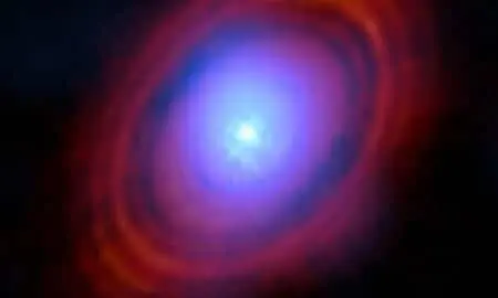 Disco protoplanetário de HL Tauri - Reprodução/ESO