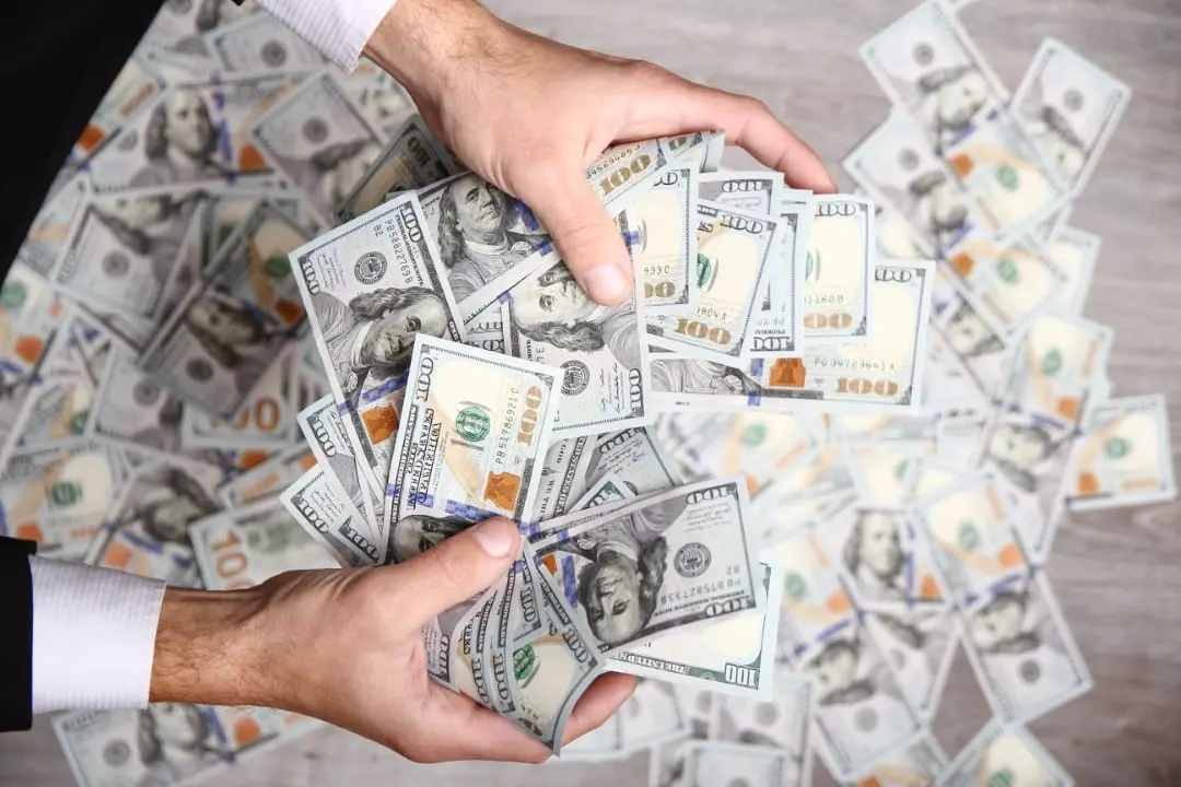 dolares