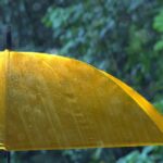 guarda chuva