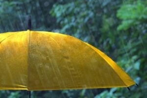 guarda chuva