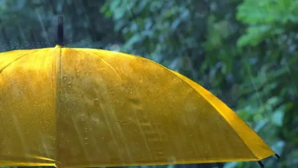 guarda chuva