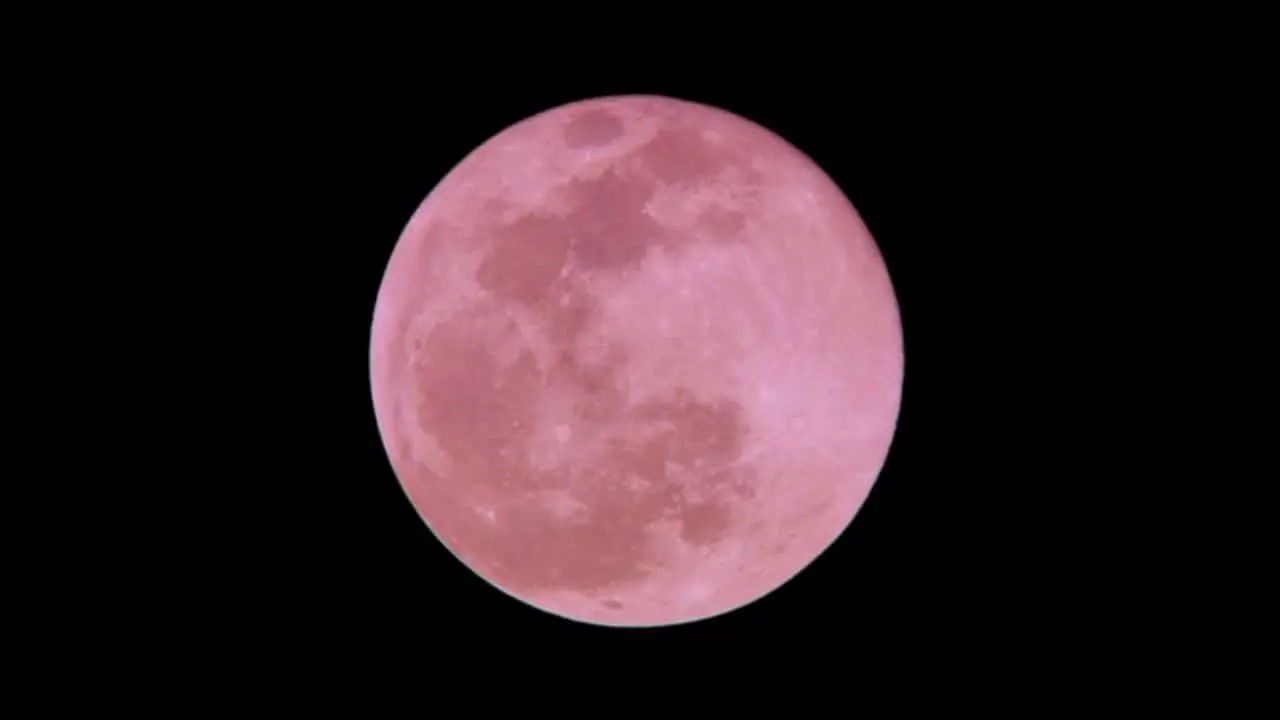 lua morango
