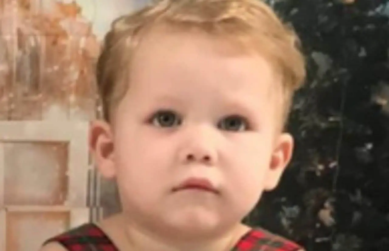 Menino de 3 anos morre atropelado - Internet
