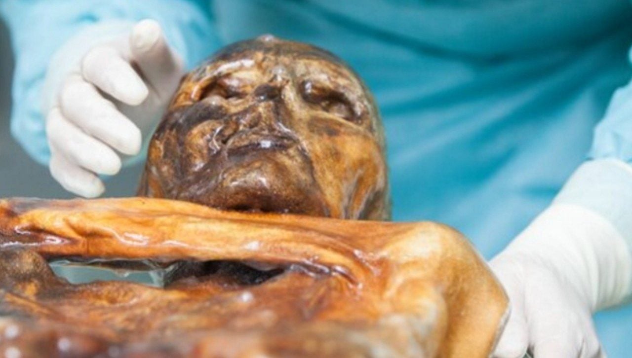 múmia Ötzi - Divulgação/Museu de Arqueologia do Tirol do Sul