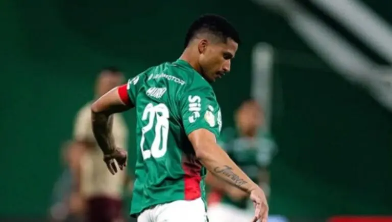 Murilo Palmeiras - @murilopaim