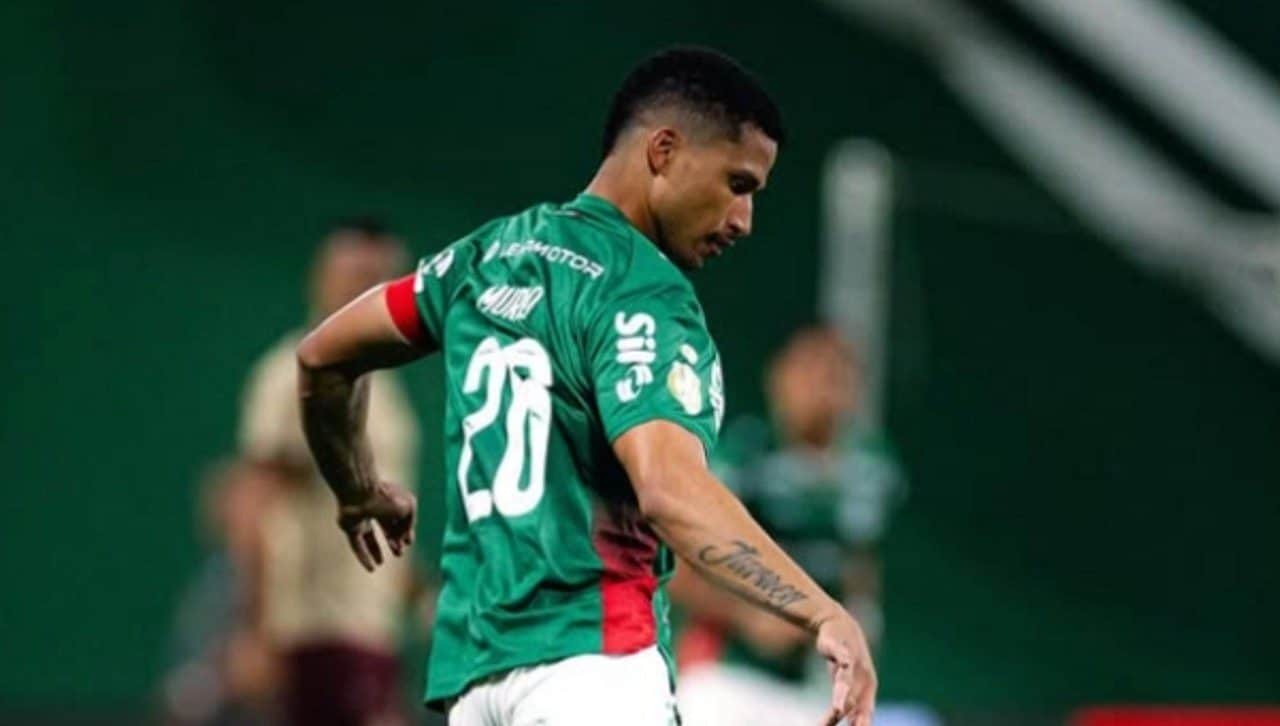 Murilo Palmeiras - @murilopaim