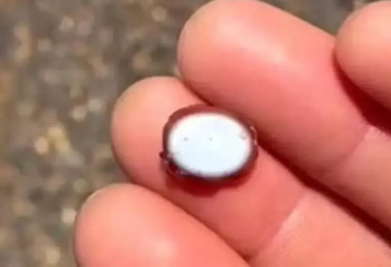 pedra rara encontrada