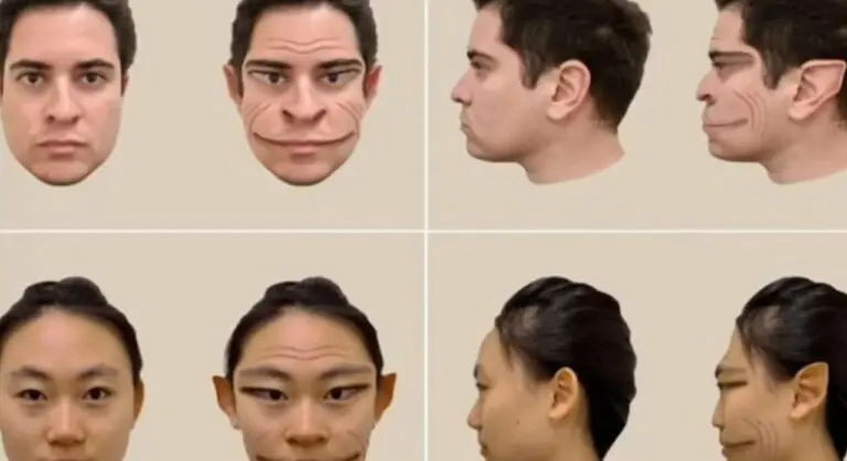 prosopometamorfopsia