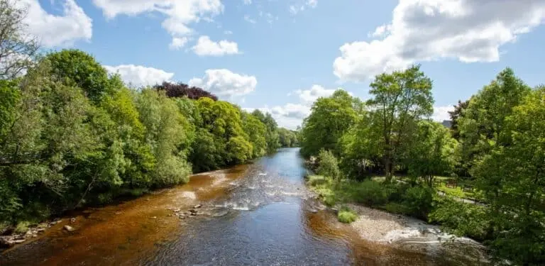 rio wharfe
