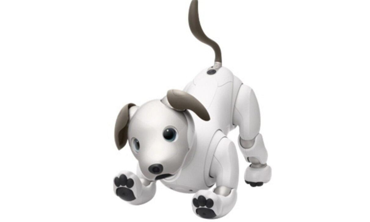 robô-cão aibo - Divulgação